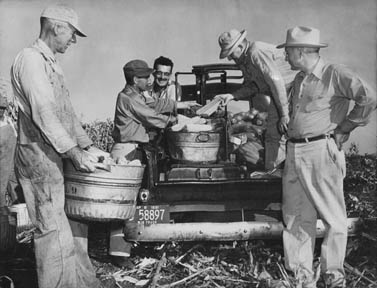 Scene of Farmers, truck, and corn
